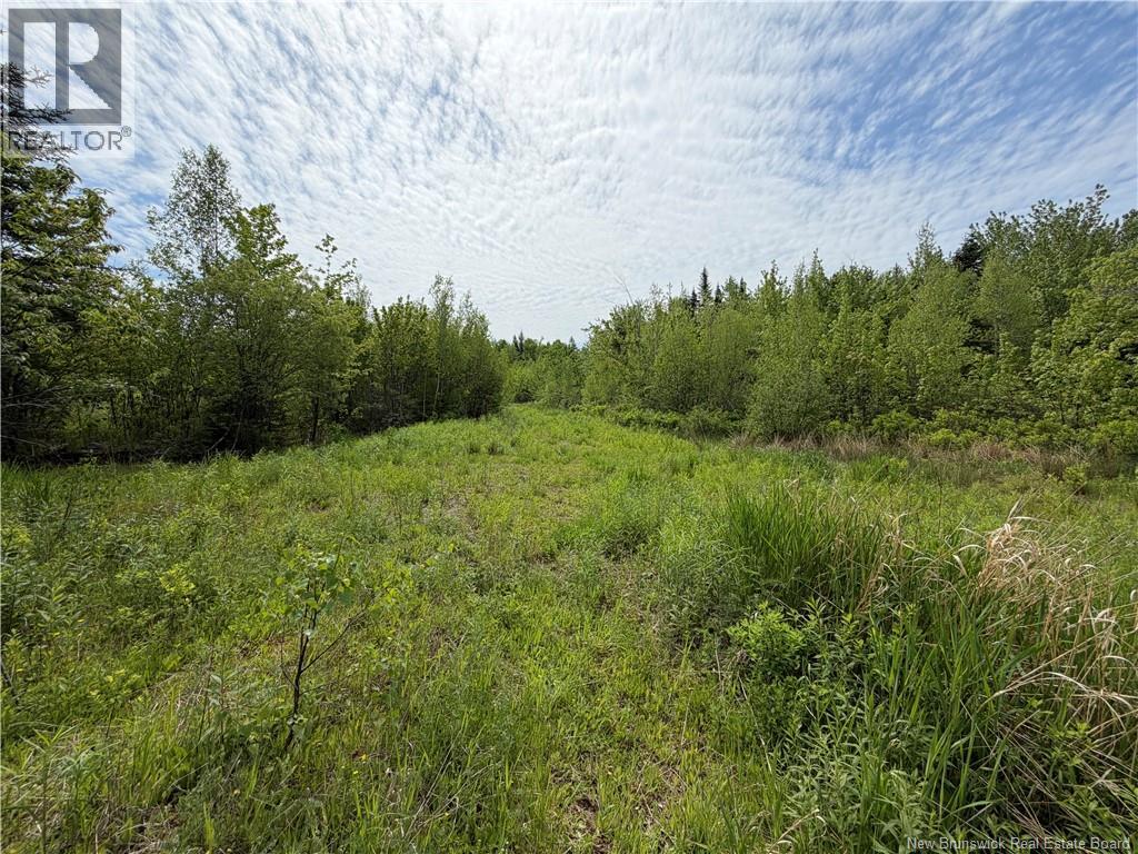 225 South Black River Road, Black River Bridge, New Brunswick  E1N 5S5 - Photo 18 - NB135295