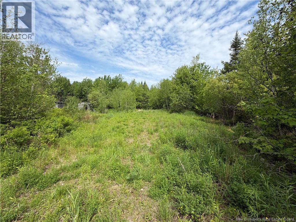 225 South Black River Road, Black River Bridge, New Brunswick  E1N 5S5 - Photo 19 - NB135295