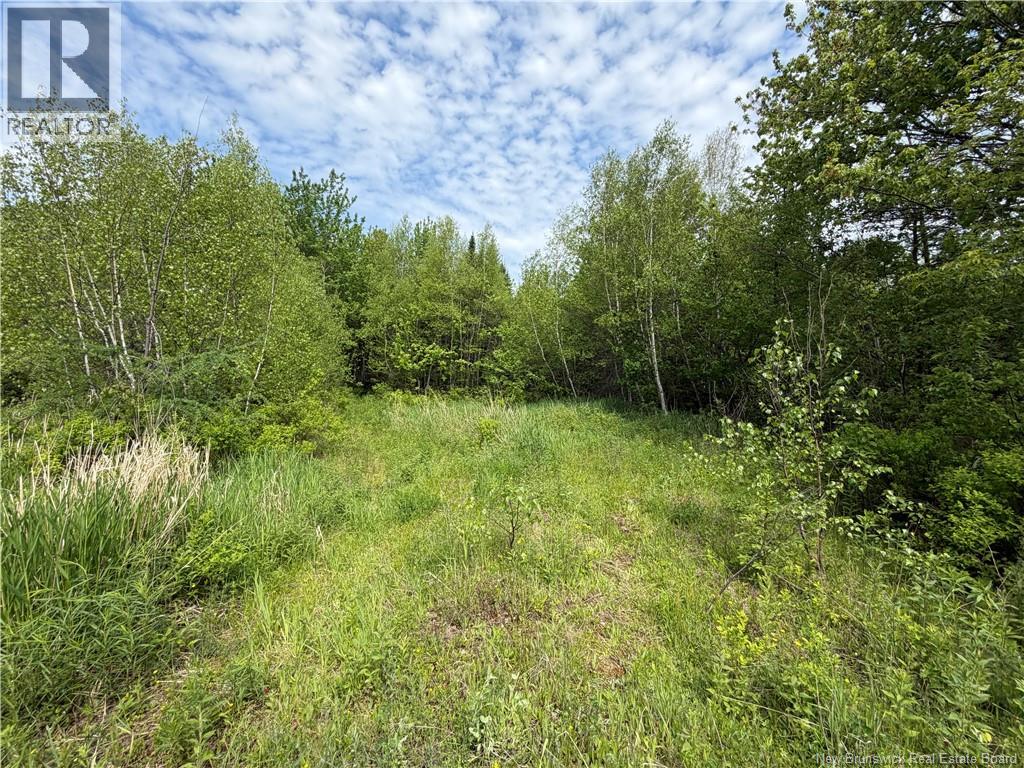 225 South Black River Road, Black River Bridge, New Brunswick  E1N 5S5 - Photo 20 - NB135295