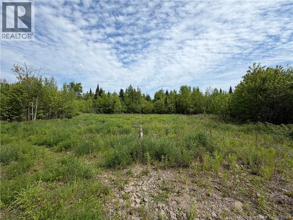 225 South Black River Road, Black River Bridge, New Brunswick  E1N 5S5 - Photo 23 - NB135295