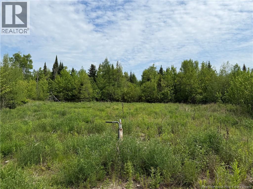 225 South Black River Road, Black River Bridge, New Brunswick  E1N 5S5 - Photo 24 - NB135295