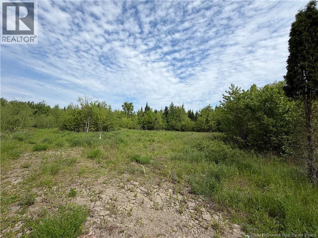 225 South Black River Road, Black River Bridge, New Brunswick  E1N 5S5 - Photo 25 - NB135295