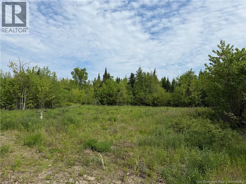 225 South Black River Road, Black River Bridge, New Brunswick  E1N 5S5 - Photo 26 - NB135295