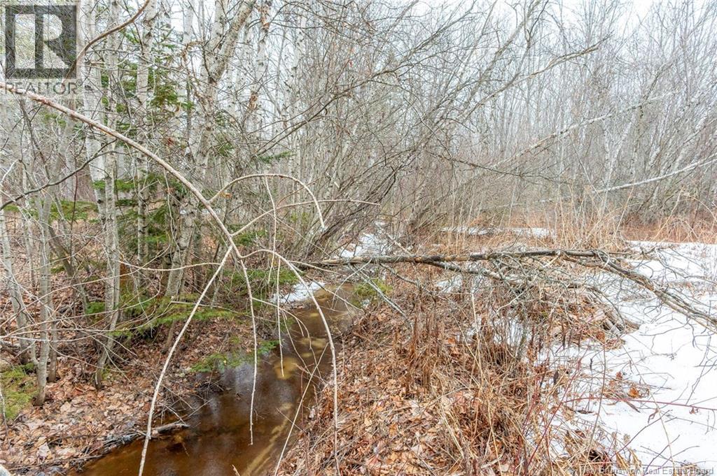 Lot 75-6 Petite Riviere, Aldouane, New Brunswick  E4W 5C1 - Photo 8 - NB135450