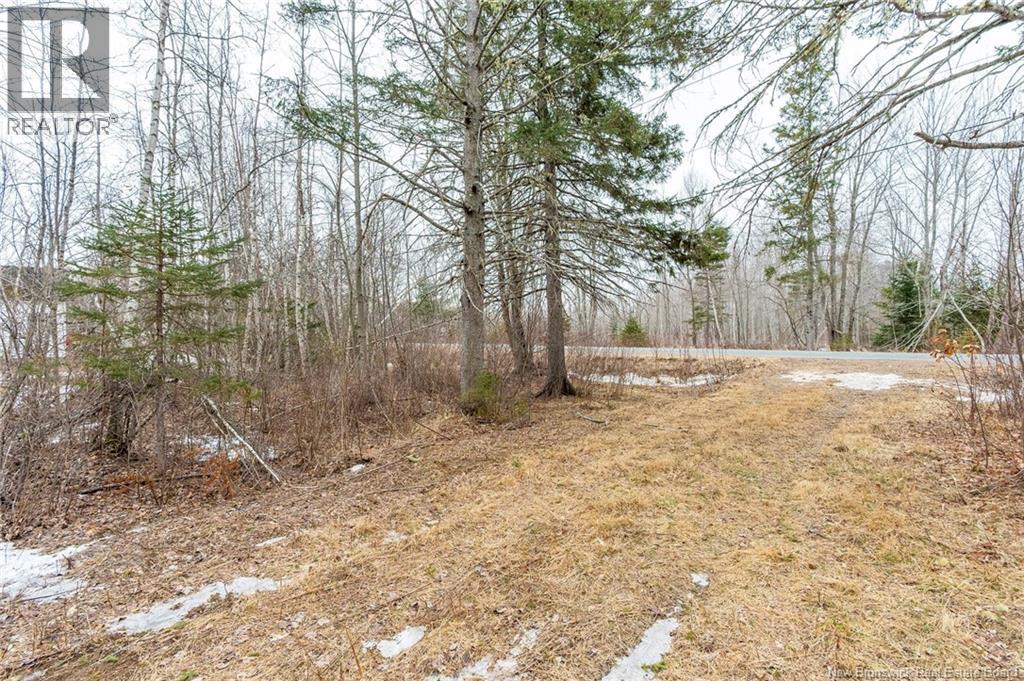 661 Ch Petite Riviere, Aldouane, New Brunswick  E4W 5C1 - Photo 11 - NB135447