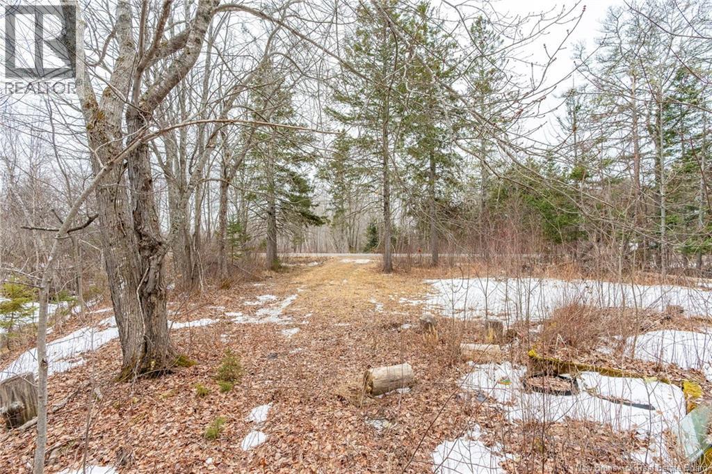661 Ch Petite Riviere, Aldouane, New Brunswick  E4W 5C1 - Photo 14 - NB135447