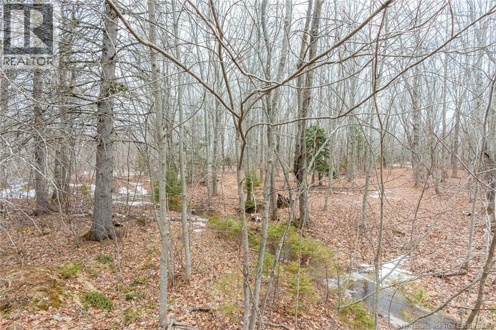 661 Ch Petite Riviere, Aldouane, New Brunswick  E4W 5C1 - Photo 15 - NB135447