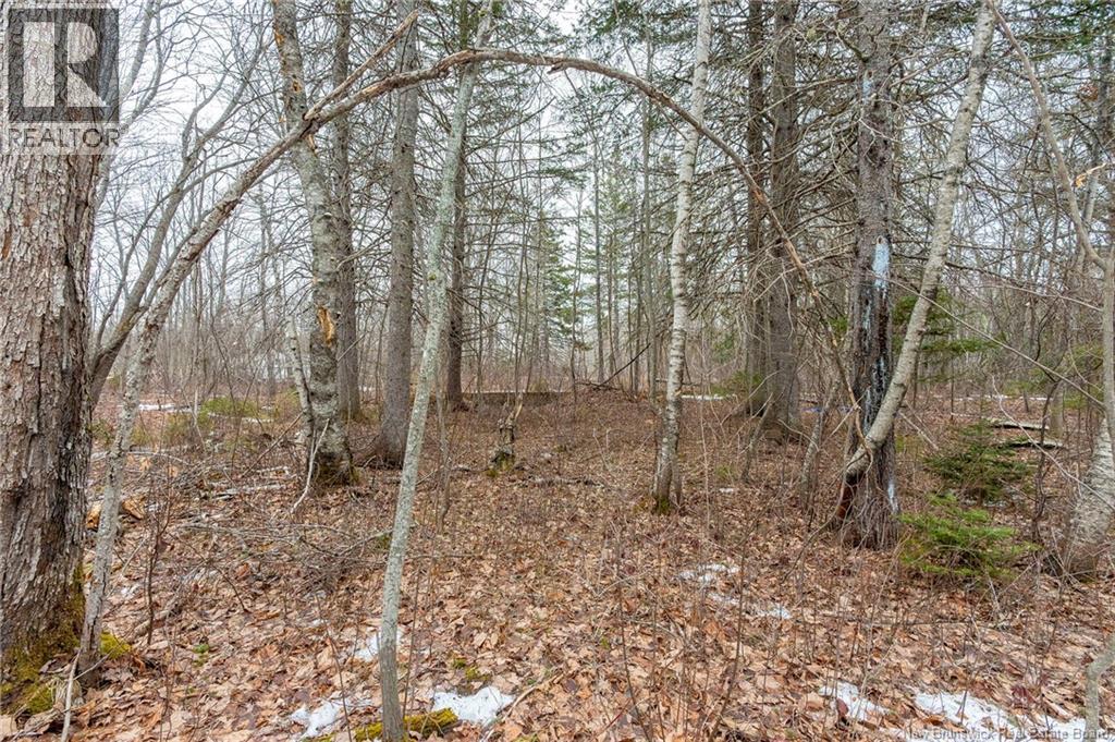 661 Ch Petite Riviere, Aldouane, New Brunswick  E4W 5C1 - Photo 20 - NB135447