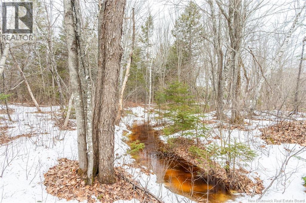 661 Ch Petite Riviere, Aldouane, New Brunswick  E4W 5C1 - Photo 21 - NB135447