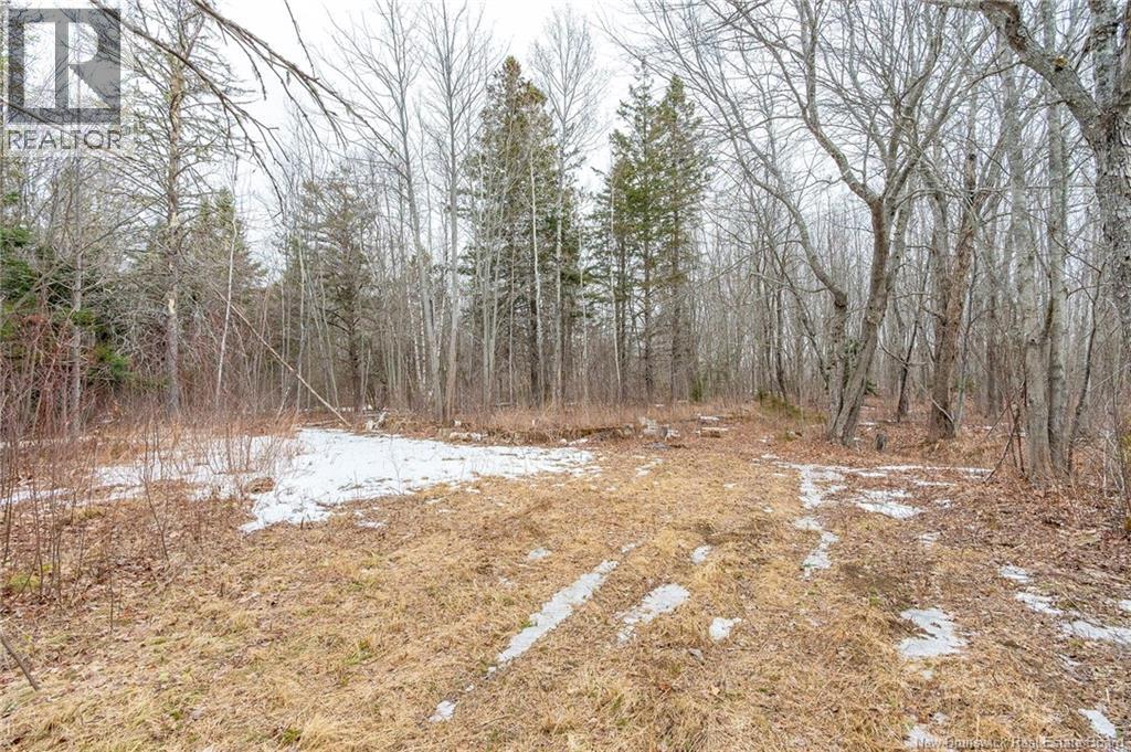 661 Ch Petite Riviere, Aldouane, New Brunswick  E4W 5C1 - Photo 33 - NB135447