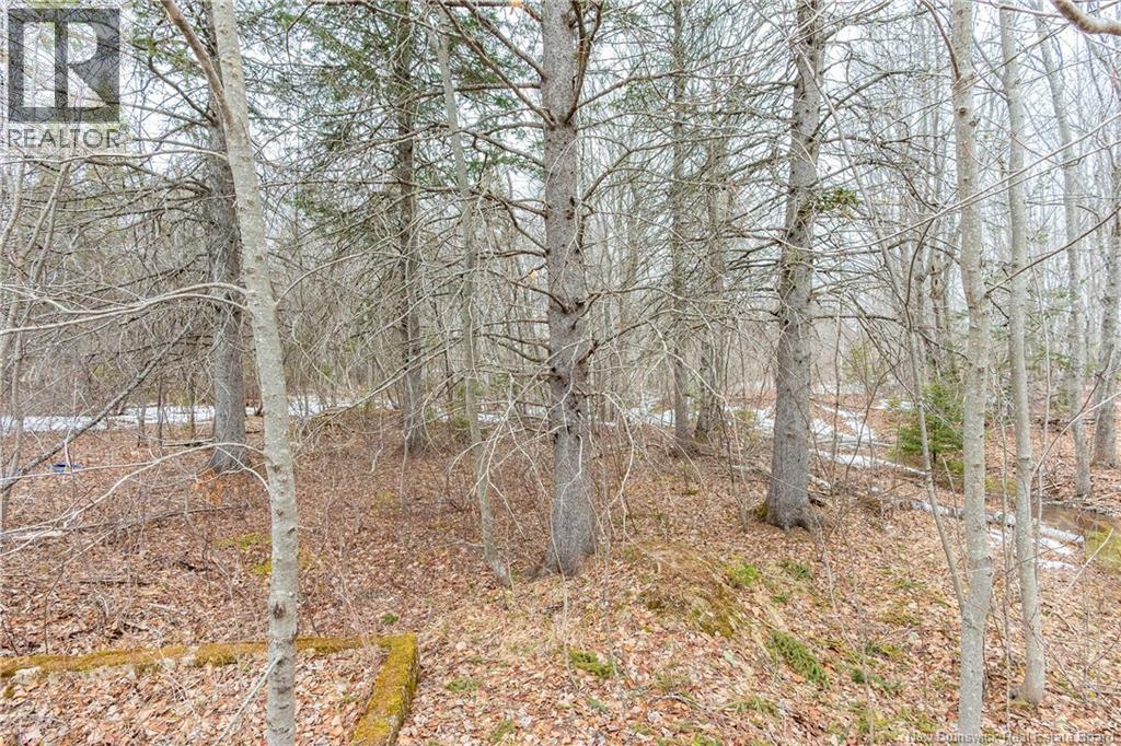 661 Ch Petite Riviere, Aldouane, New Brunswick  E4W 5C1 - Photo 40 - NB135447