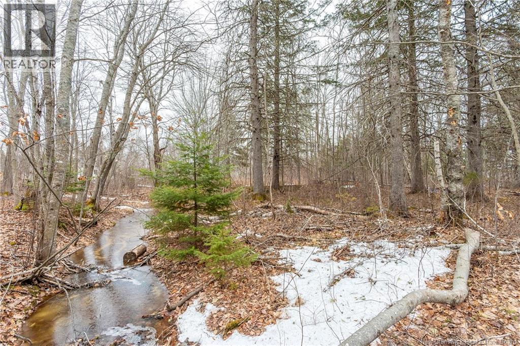 661 Ch Petite Riviere, Aldouane, New Brunswick  E4W 5C1 - Photo 43 - NB135447