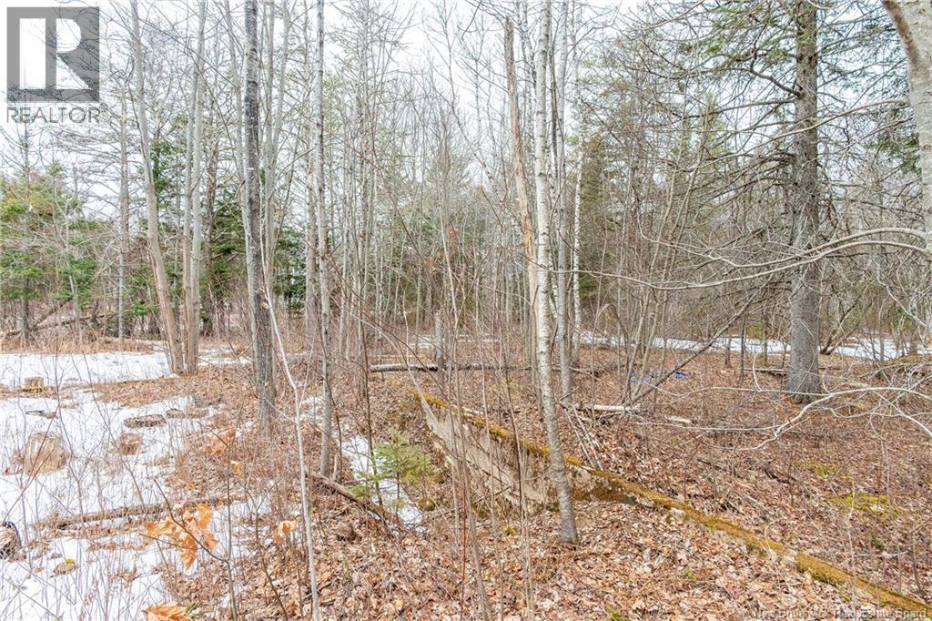 661 Ch Petite Riviere, Aldouane, New Brunswick  E4W 5C1 - Photo 45 - NB135447