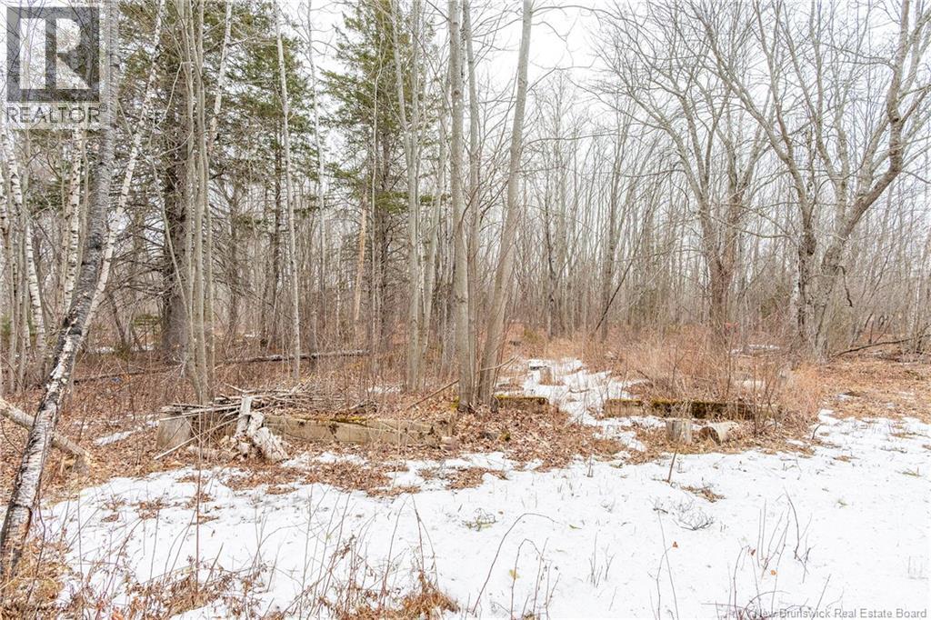 661 Ch Petite Riviere, Aldouane, New Brunswick  E4W 5C1 - Photo 47 - NB135447