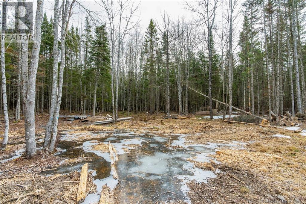 836 Des Dallaire, Sainte-Marie-De-Kent, New Brunswick  E4S 1S8 - Photo 10 - NB135383