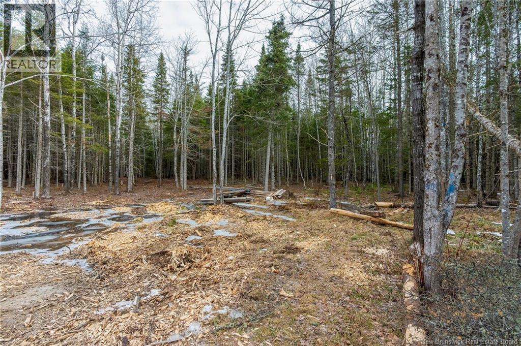 836 Des Dallaire, Sainte-Marie-De-Kent, New Brunswick  E4S 1S8 - Photo 9 - NB135383