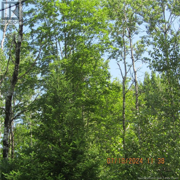 Lot 82-11 Route 770, Lee Settlement, New Brunswick  E5C 1E9 - Photo 2 - NB135546