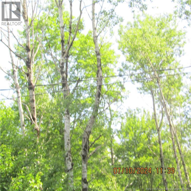 Lot 82-11 Route 770, Lee Settlement, New Brunswick  E5C 1E9 - Photo 3 - NB135546