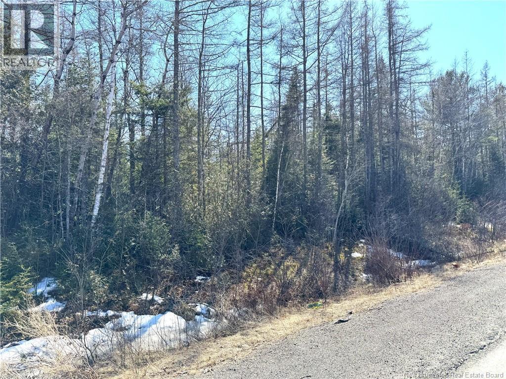 Lot 4 Route 3, Andersonville, New Brunswick  E5A 1E2 - Photo 5 - NB135253