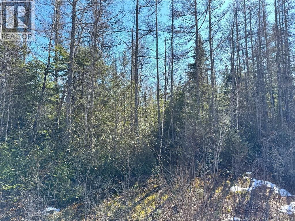 Lot 4 Route 3, Andersonville, New Brunswick  E5A 1E2 - Photo 6 - NB135253