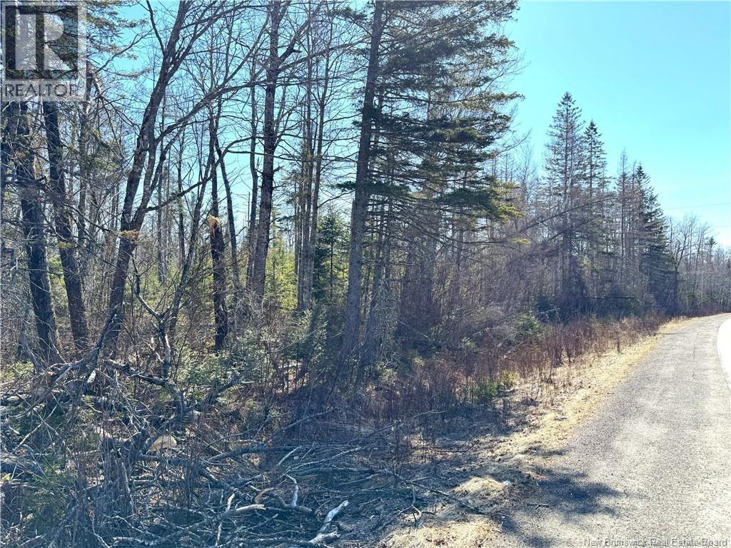 Lot 3 Route 3, Andersonville, New Brunswick  E5A 1E2 - Photo 7 - NB135242