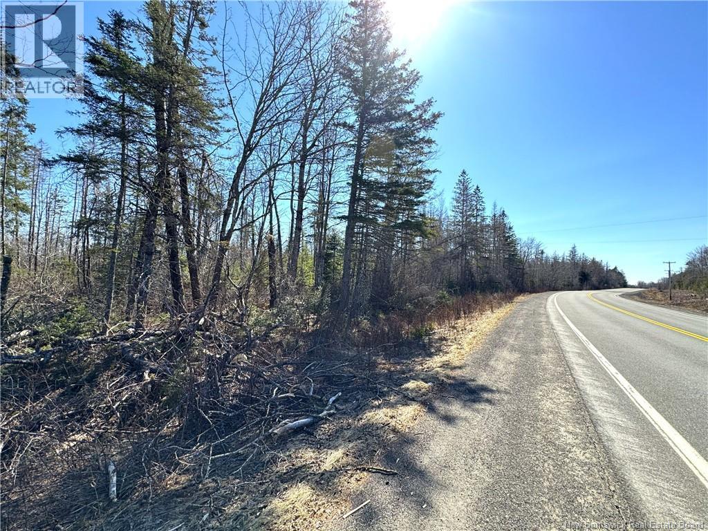 Lot 3 Route 3, Andersonville, New Brunswick  E5A 1E2 - Photo 9 - NB135242