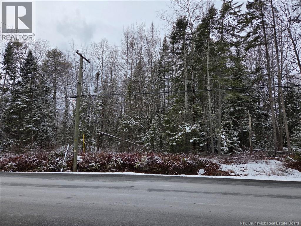 303 Lower Mountain Road, Boundary Creek, New Brunswick  E1G 4C4 - Photo 1 - NB135540