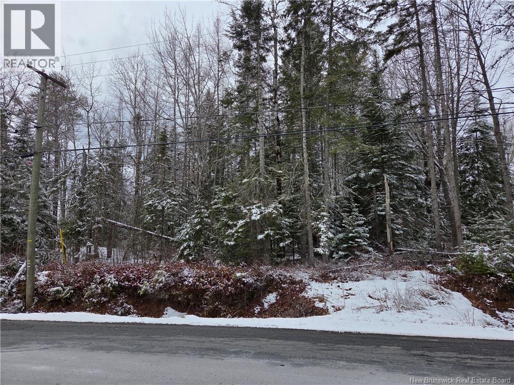 303 Lower Mountain Road, Boundary Creek, New Brunswick  E1G 4C4 - Photo 2 - NB135540
