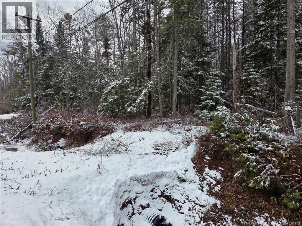 303 Lower Mountain Road, Boundary Creek, New Brunswick  E1G 4C4 - Photo 3 - NB135540