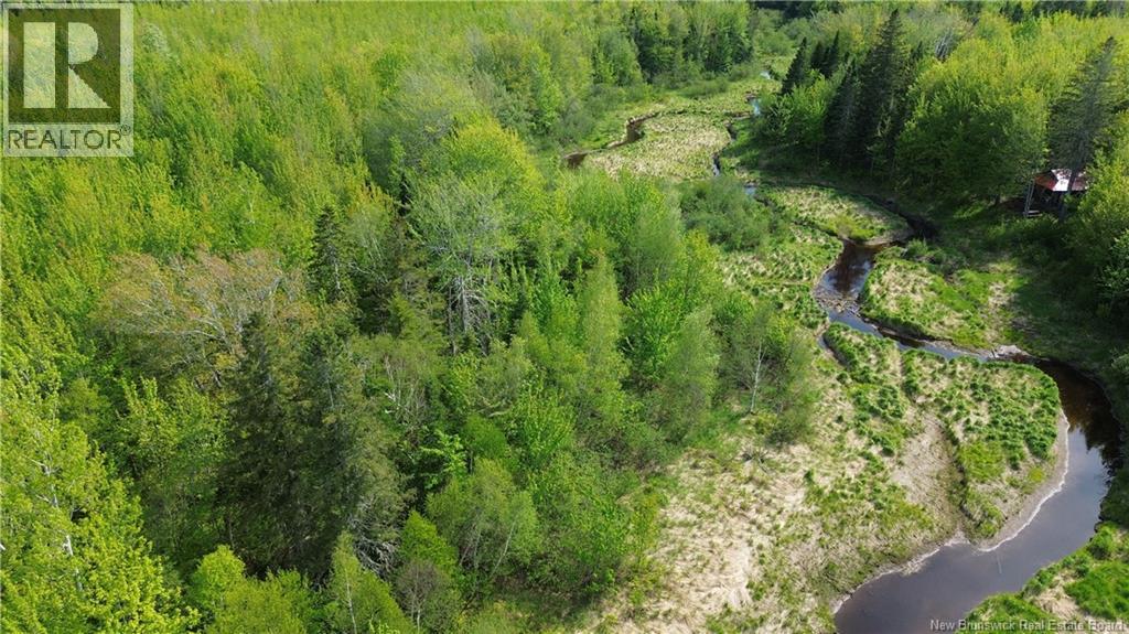 Lot Highway 134, Ward Corner, New Brunswick  E4V 2P3 - Photo 21 - NB135513