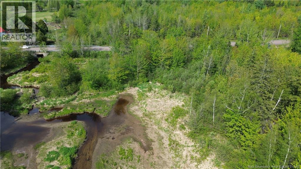 Lot Highway 134, Ward Corner, New Brunswick  E4V 2P3 - Photo 23 - NB135513