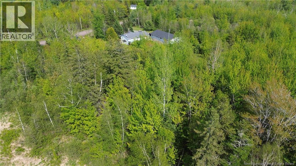 Lot Highway 134, Ward Corner, New Brunswick  E4V 2P3 - Photo 25 - NB135513
