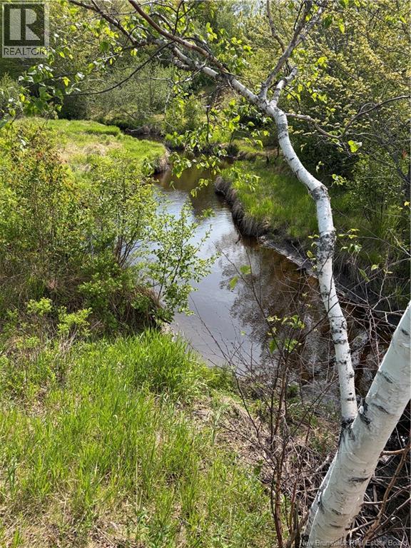 Lot Highway 134, Ward Corner, New Brunswick  E4V 2P3 - Photo 27 - NB135513