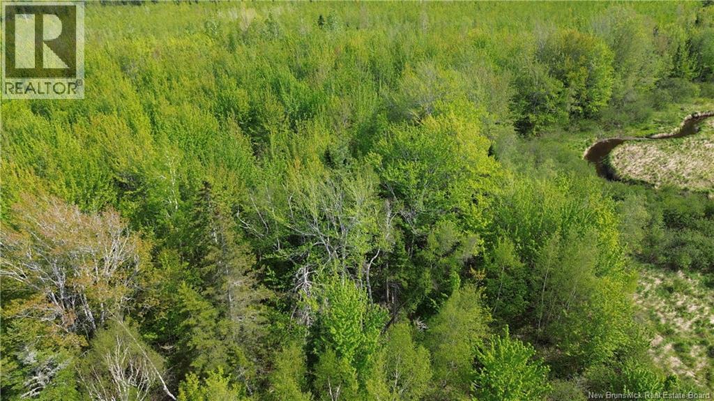 Lot Highway 134, Ward Corner, New Brunswick  E4V 2P3 - Photo 29 - NB135513