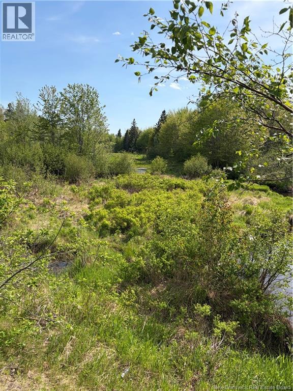 Lot Highway 134, Ward Corner, New Brunswick  E4V 2P3 - Photo 33 - NB135513