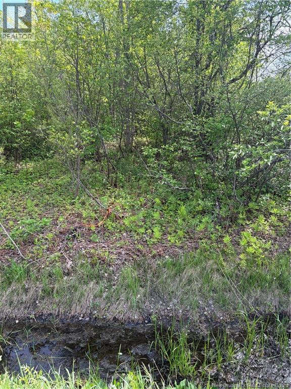 Lot Highway 134, Ward Corner, New Brunswick  E4V 2P3 - Photo 35 - NB135513