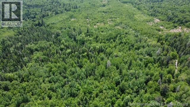 1568 Route 885, Havelock, New Brunswick  E4Z 5L7 - Photo 48 - NB135234