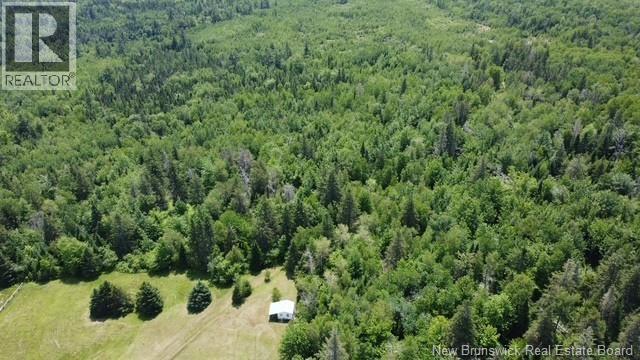 1568 Route 885, Havelock, New Brunswick  E4Z 5L7 - Photo 50 - NB135234