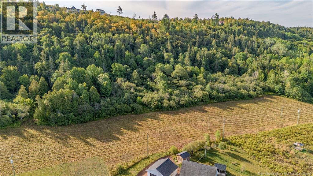 Vacant Lot Earl Lane, Kiersteadville, New Brunswick  E5N 7W7 - Photo 9 - NB135600