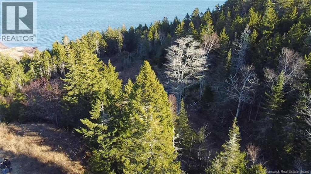 Lot 1 Kilmarnock Head, Chamcook, New Brunswick E5B 0A9 - Photo 4 - NB135014