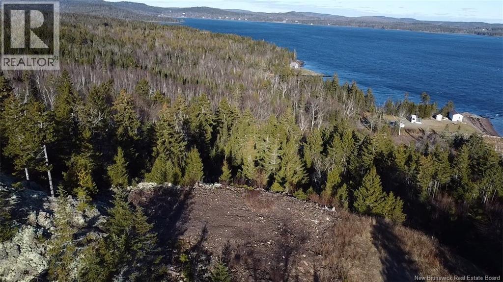 Lot 1 Kilmarnock Head, Chamcook, New Brunswick E5B 0A9 - Photo 5 - NB135014