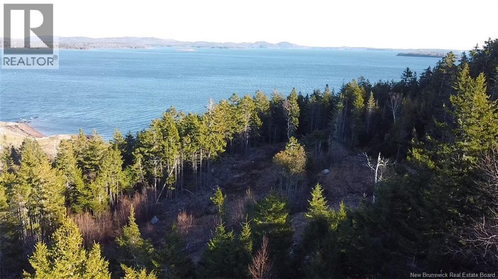 Lot 1 Kilmarnock Head, Chamcook, New Brunswick E5B 0A9 - Photo 6 - NB135014