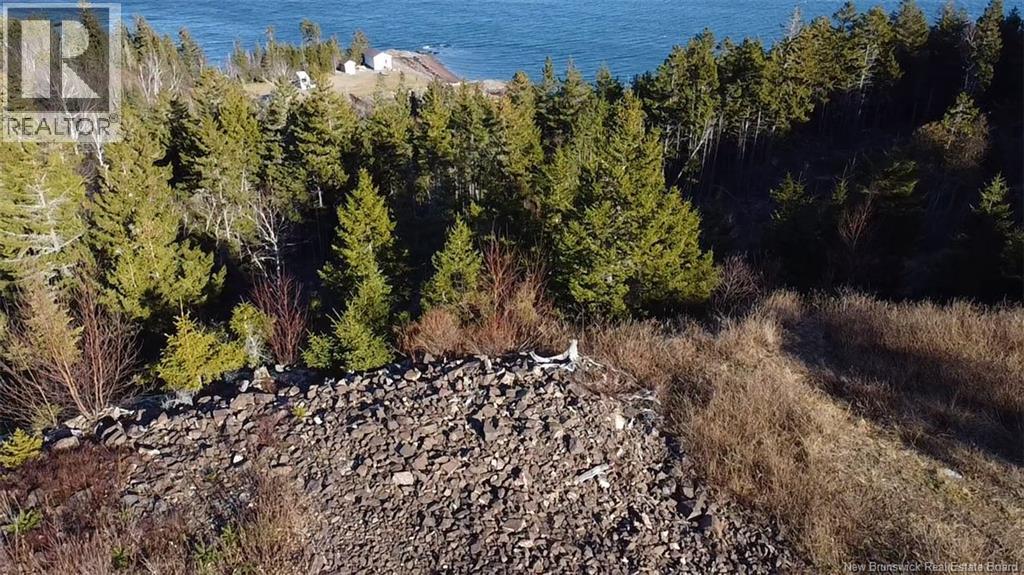 Lot 1 Kilmarnock Head, Chamcook, New Brunswick E5B 0A9 - Photo 7 - NB135014