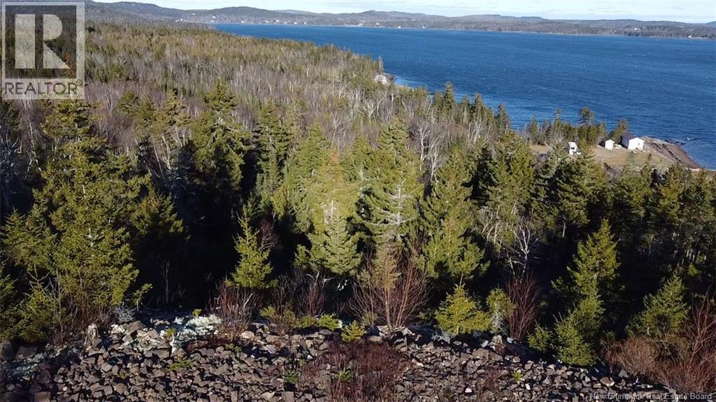 Lot 1 Kilmarnock Head, Chamcook, New Brunswick E5B 0A9 - Photo 8 - NB135014