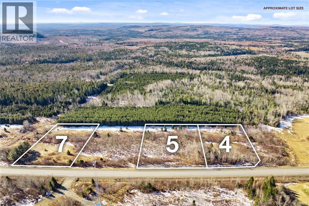 Lot 93-7 Route 104, Middle Hainesville, New Brunswick  E6E 2H2 - Photo 9 - NB135336