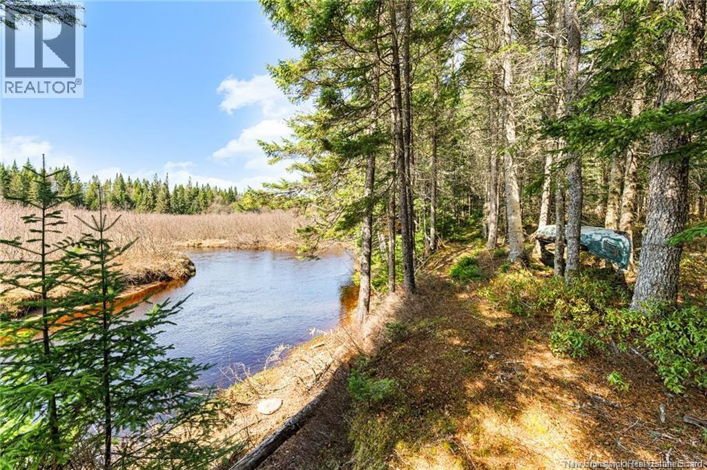 653 Fork Stream, Canaan, New Brunswick  E4Z 5Z3 - Photo 6 - NB135626
