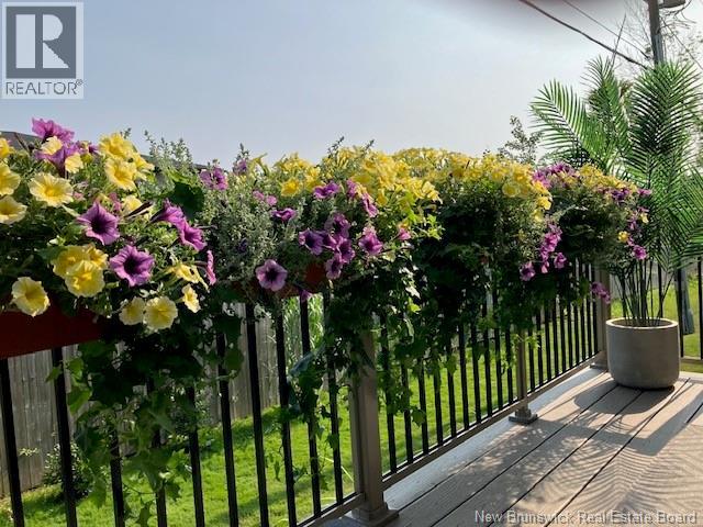 96 Blackstone Drive, Moncton, New Brunswick E1G 0X8 - Photo 48 - NB135670