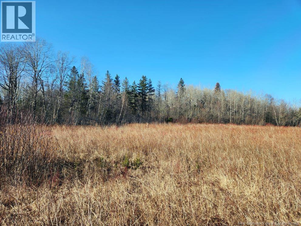 Lot Christopher Road, Edgetts Landing, New Brunswick  E4H 2X7 - Photo 16 - NB135599