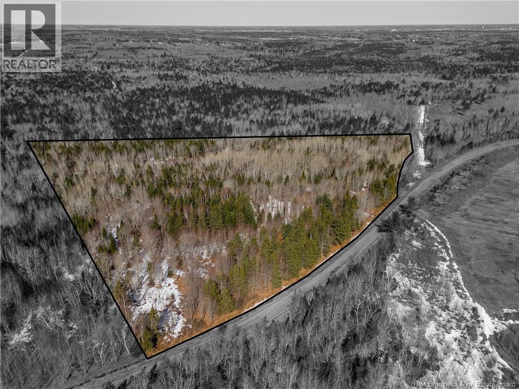 Lot 02-5 Renauds Mills Road, Saint-Antoine, New Brunswick  E4V 2X7 - Photo 15 - NB135747