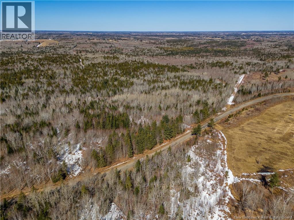 Lot 02-5 Renauds Mills Road, Saint-Antoine, New Brunswick  E4V 2X7 - Photo 21 - NB135747